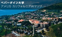 ペパーダイン大学
（アメリカ　
カリフォルニア州マリブ）